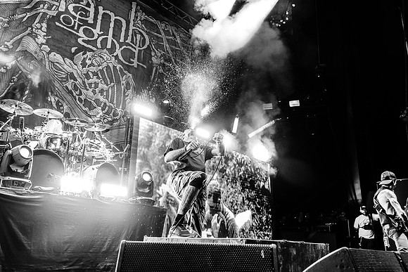 Lamb of God