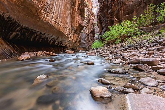 The Narrows, Zion National Park